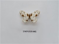 藏品(尺蛾16)的圖片